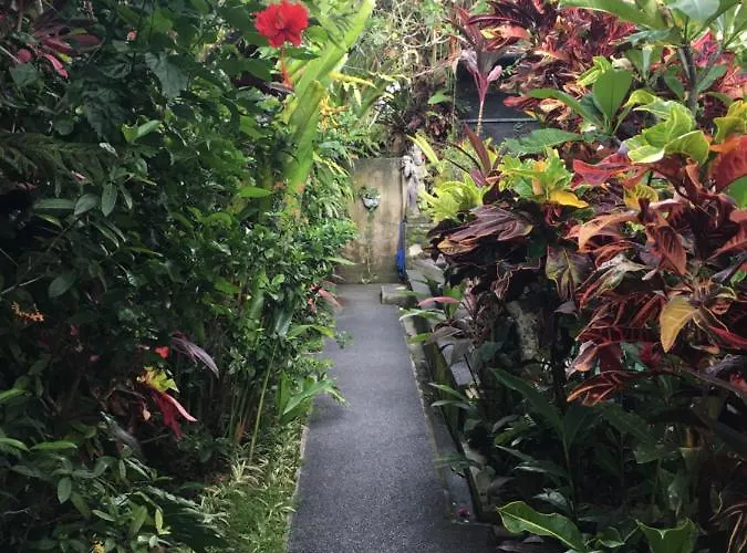 Cilinaya Ubud