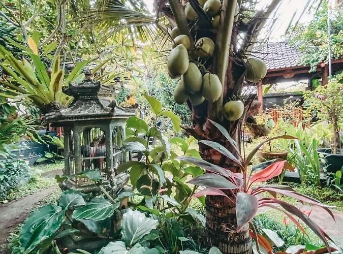 Pensión Cilinaya Ubud